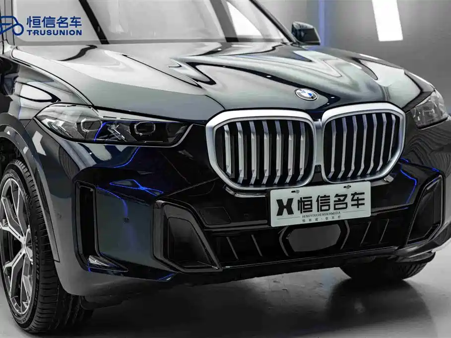 BMW X5 2023 xDrive 30Li Premium M Sport Black Night Package фото 9