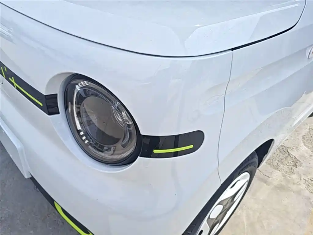 Geely Galaxy Panda 2025 Panda mini 210km Vitality Bear фото 23
