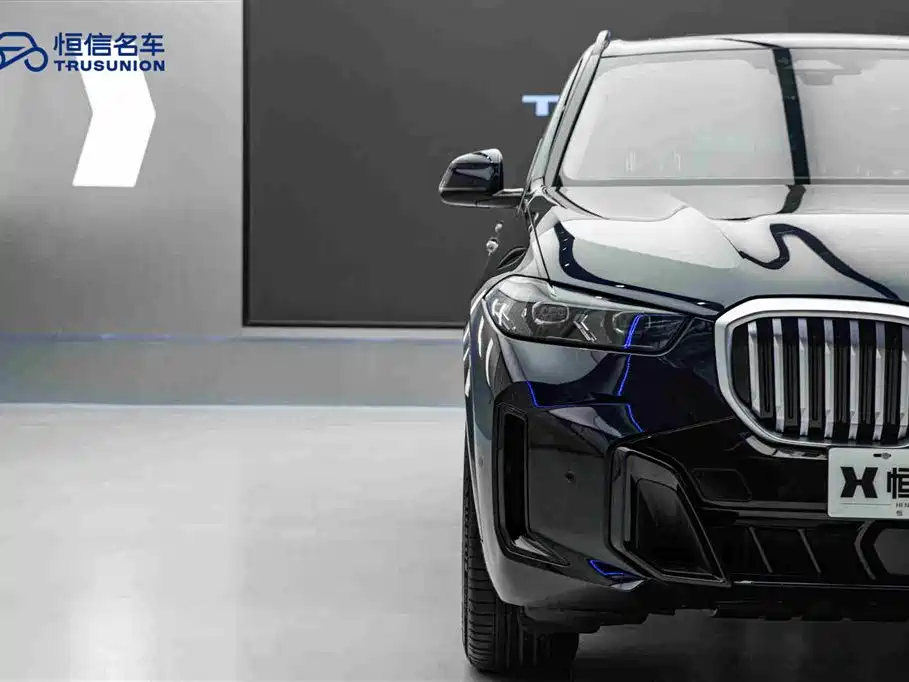 BMW X5 2023 xDrive 30Li Premium M Sport Black Night Package фото 8