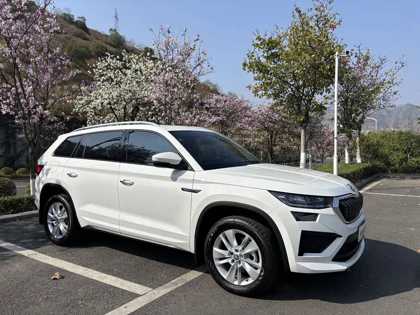Škoda Kodiaq 2025 TSI330 5-Seater FWD Capability Edition фото 3