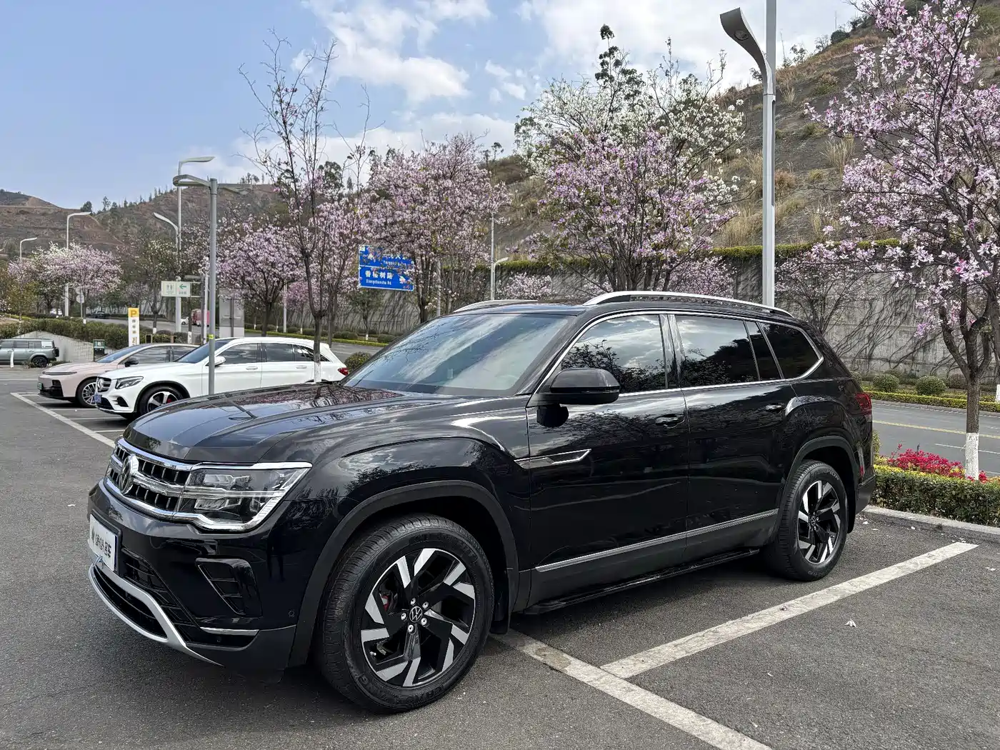 Volkswagen Teramont 2021 330TSI 2WD Premium Luxury Edition