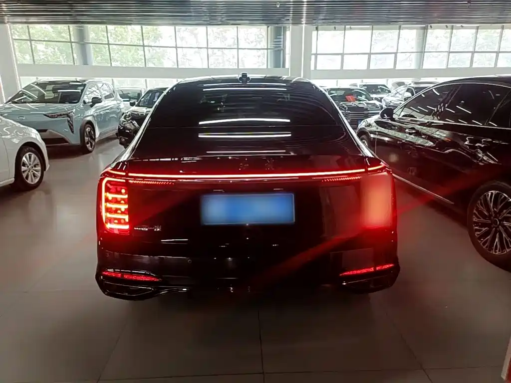 Hongqi H9 2025 2024 2.0T Qi Enjoy Private Fashion Edition