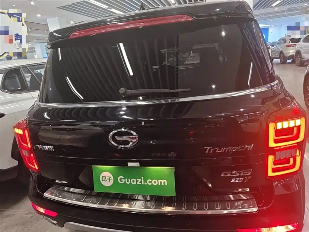 GAC Trumpchi Trumpchi GS8 2017 320T 2WD Luxury Smart Connect (7-seater) фото 6