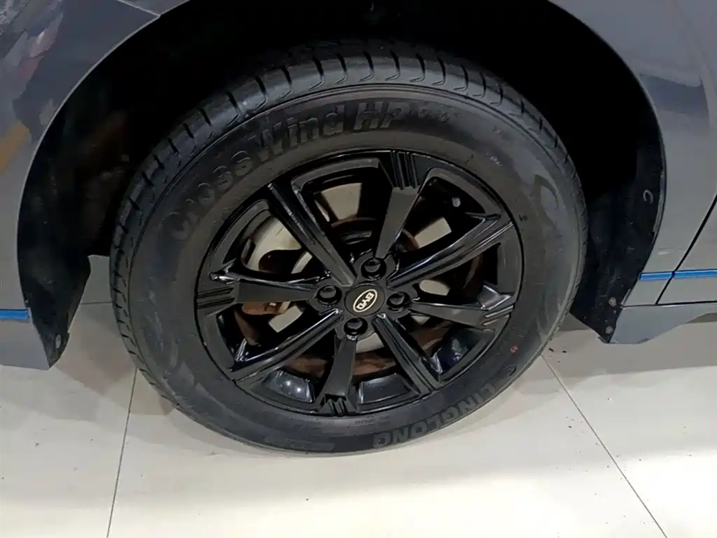 BYD e2 2019 Long Range Yao·Luxury Model фото 23