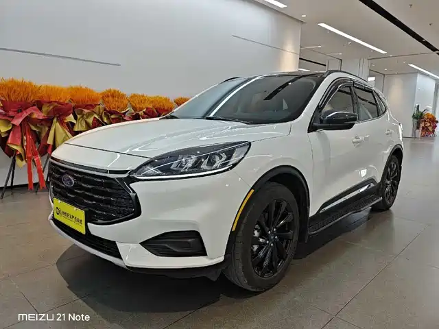 ford ruiji