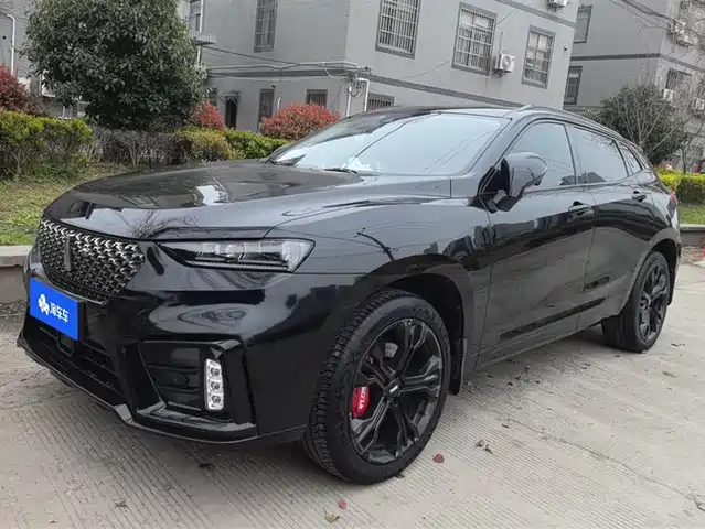 WEI PAI WEI BRAND VV7