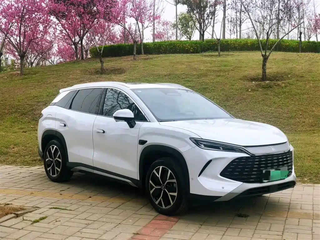 BYD Song L DM-i 2025 Smart Drive 160km Premium фото 15