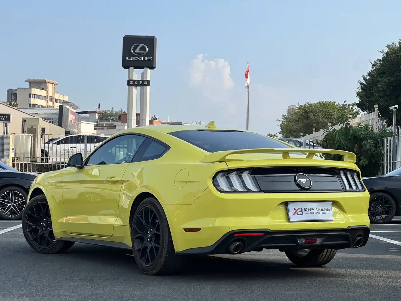Фото 6 - Ford Mustang