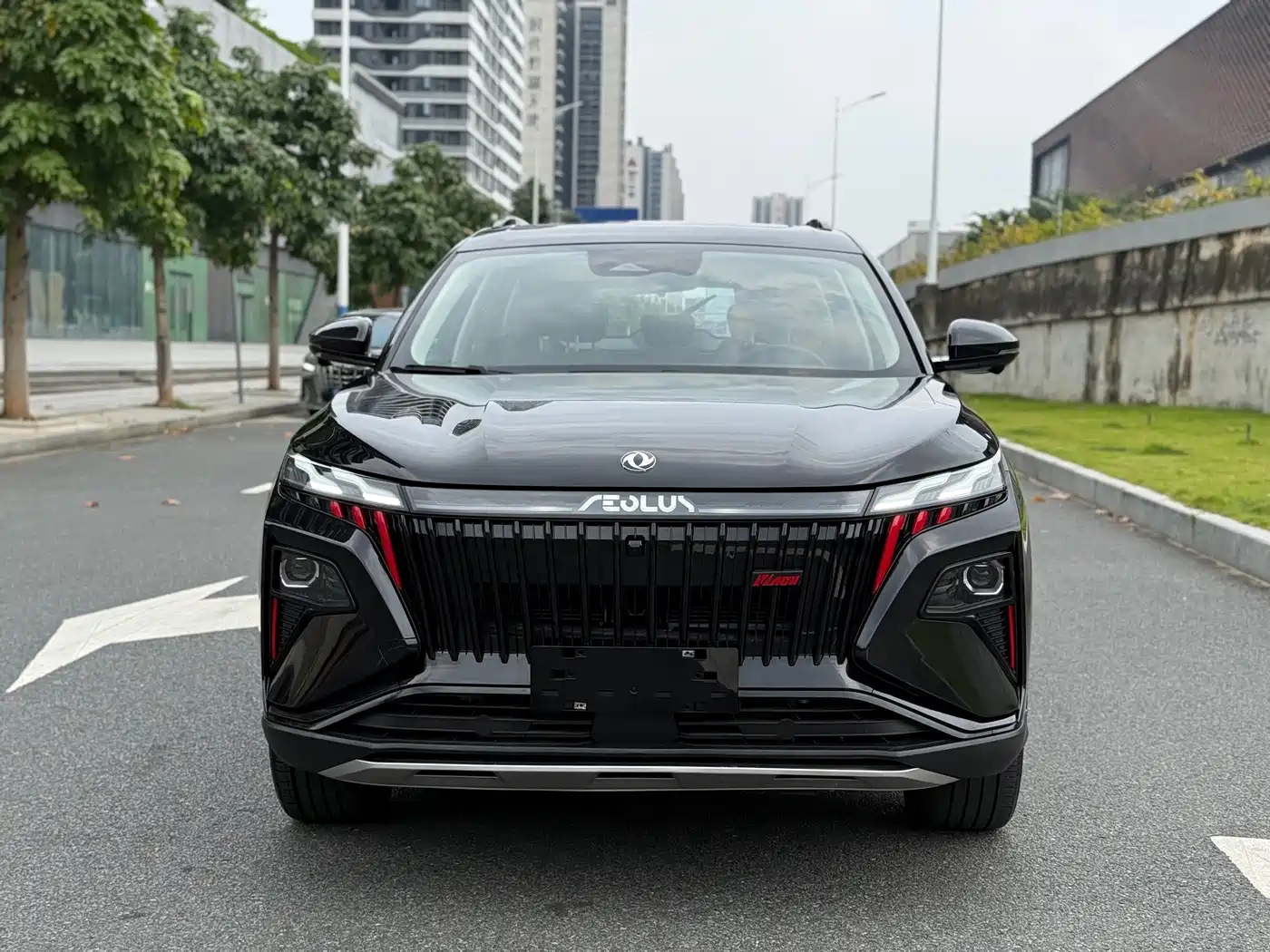 2024 Dongfeng Aeolus Haoji