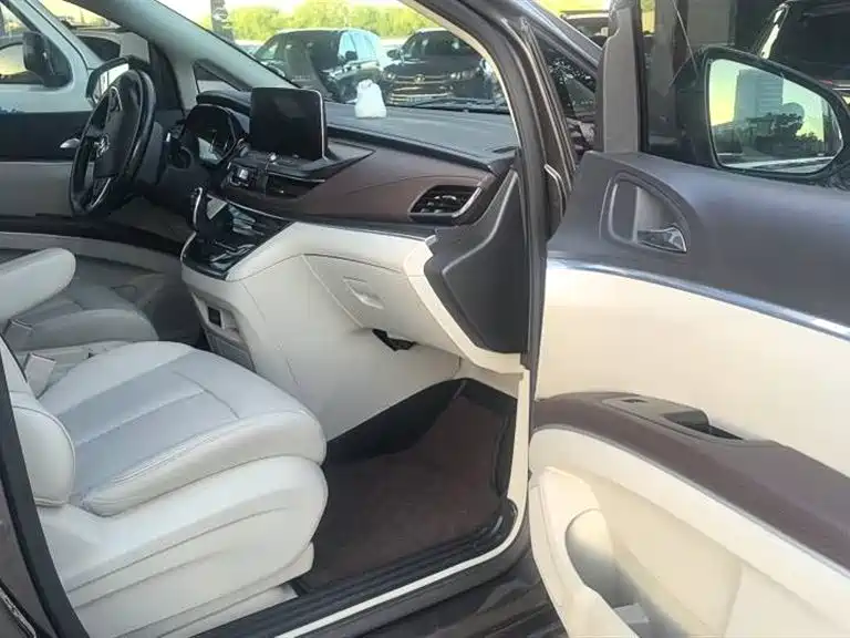 Buick GL8 2020 Model Land Business Class 652T Luxury фото 6