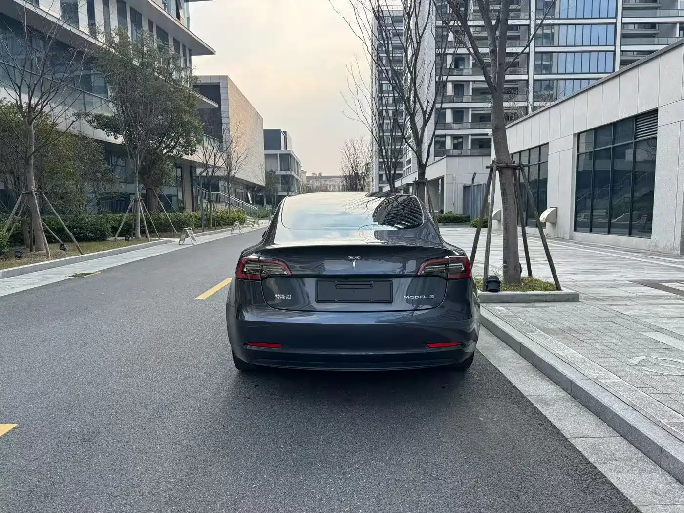 TESLA MODEL 3