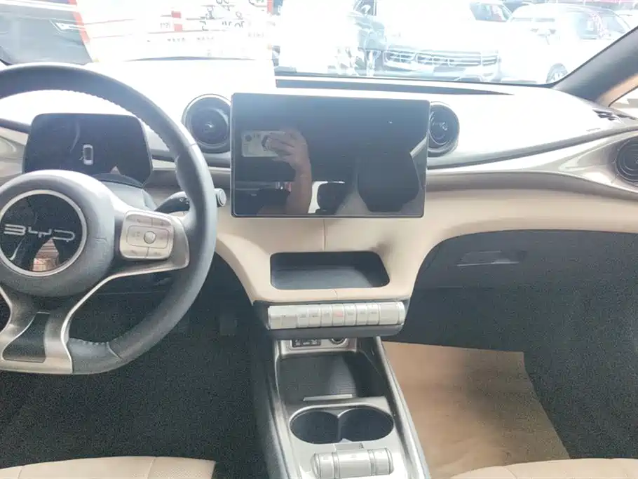 BYD Dolphin 2023 420km Fashion Edition фото 13