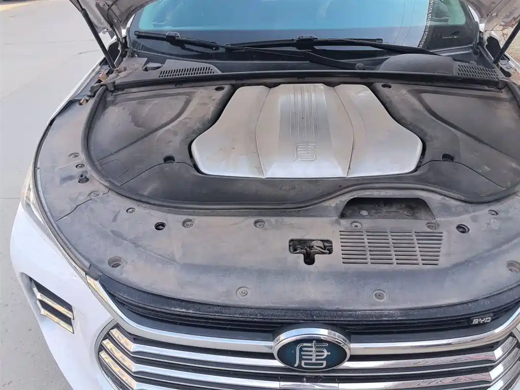 BYD Tang New Energy 2019 DM 2.0T AWD Intelligent Genesis Edition 7-seater China VI фото 23