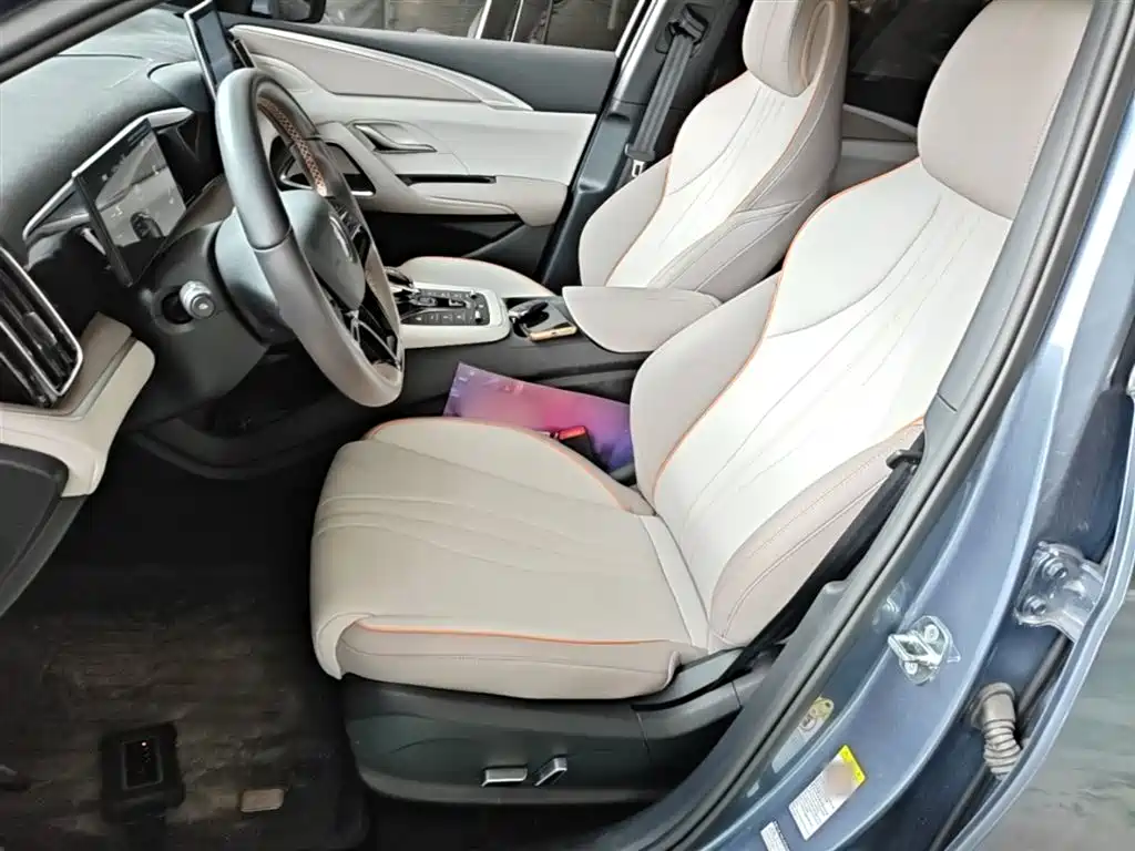 BYD Song Pro New Energy 2024 Glory Edition DM-i 71KM Pilot фото 15