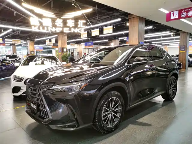 Lexus NX 2022 260 FWD Joy Creation Edition