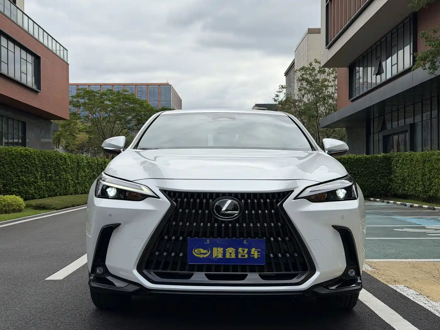 Lexus NX 2023 2023 260 FWD Joy Creation Edition