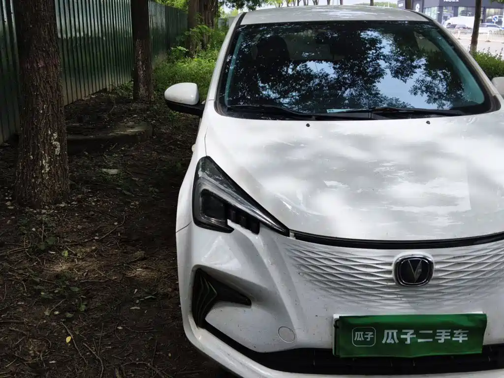 Changan Benben E-Star 2022 2022 Serenity Edition Colorful LFP