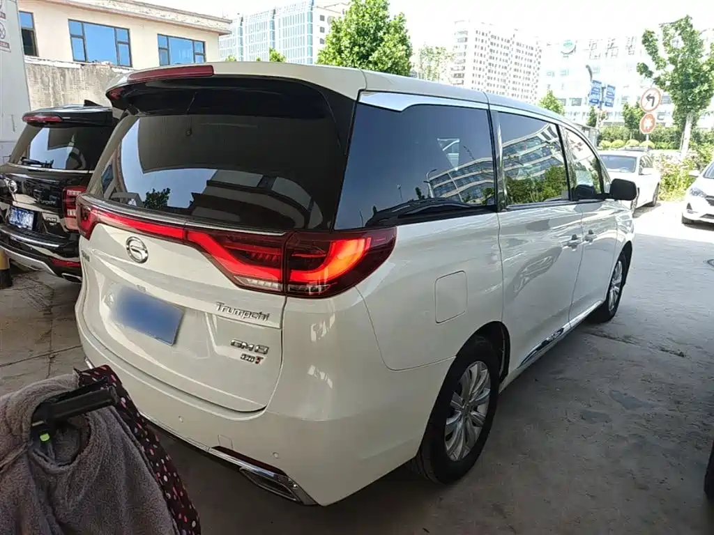 GAC Trumpchi Trumpchi M8 2018 320T Exclusive Edition фото 7