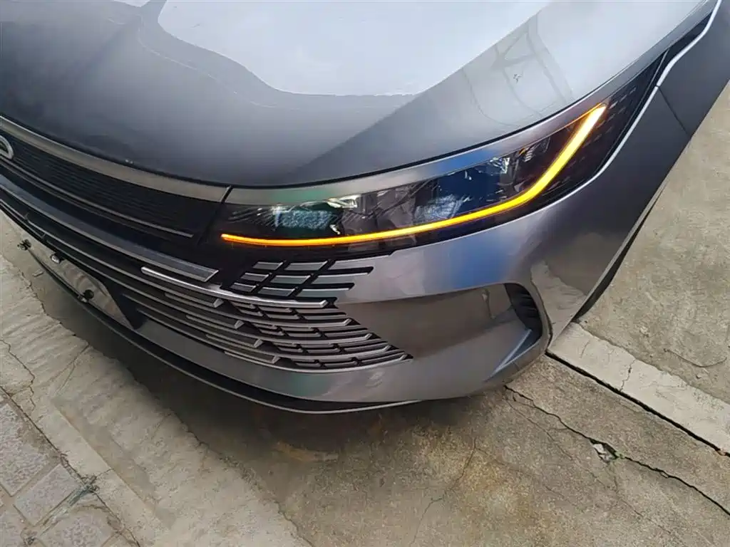 BYD Destroyer 05 2023 Champion Edition DM-i 55KM Luxury фото 24