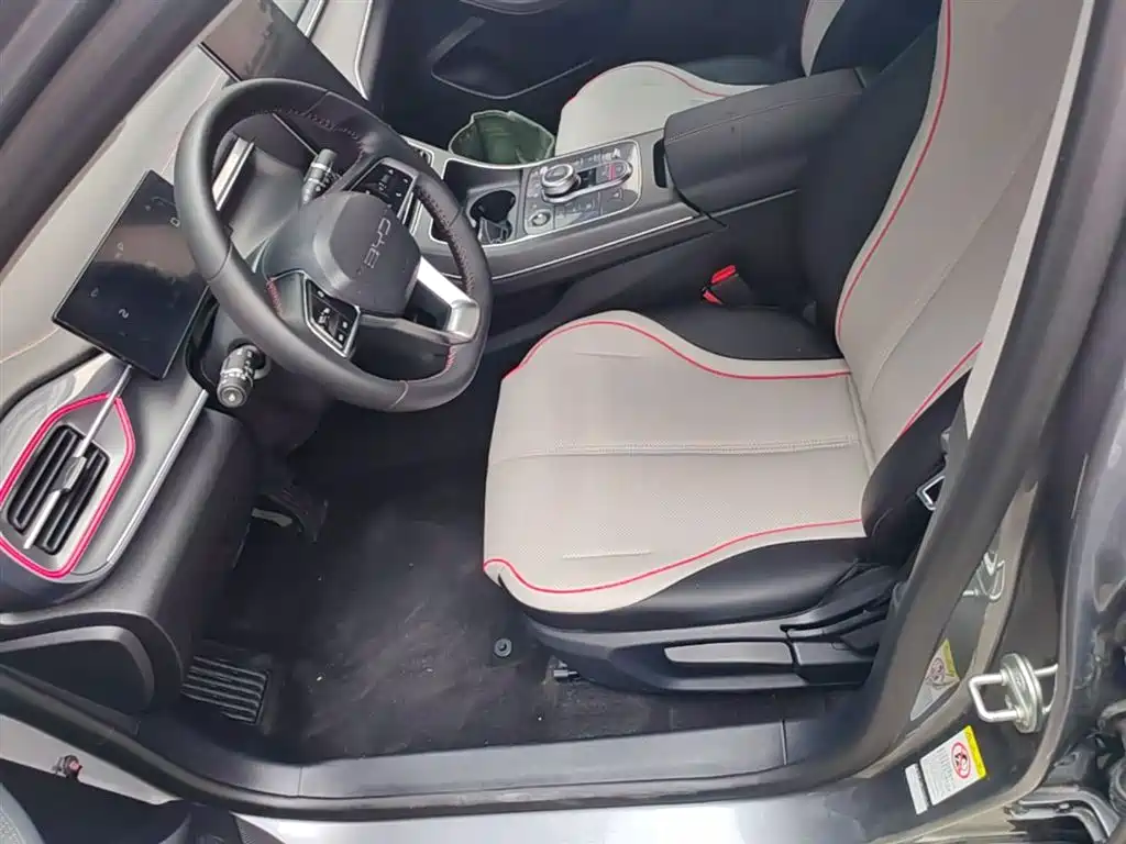 BYD Destroyer 05 2023 Champion Edition DM-i 55KM Luxury фото 15