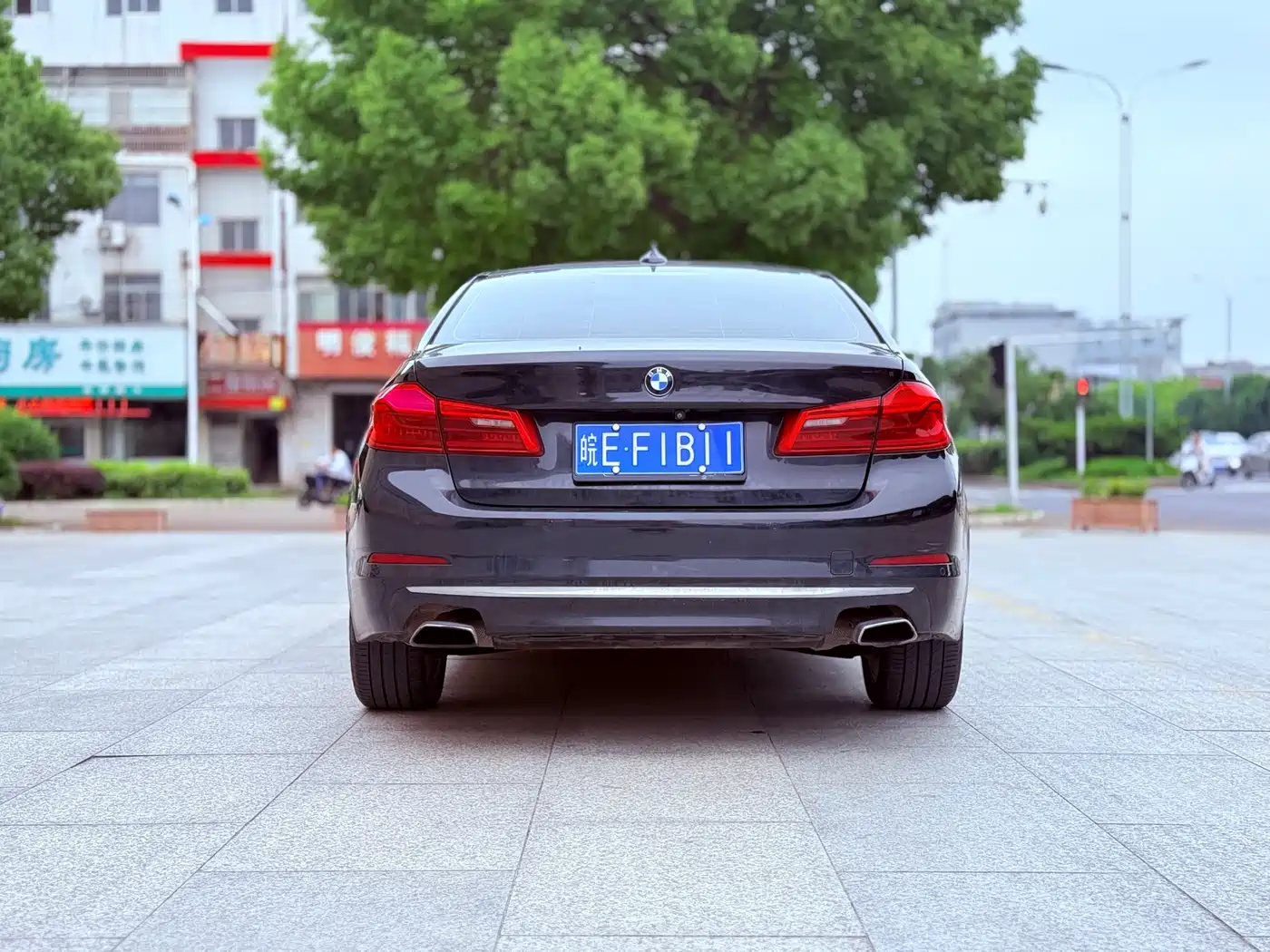 BMW 5 Series 2018 530Li Leading Luxury Package фото 5
