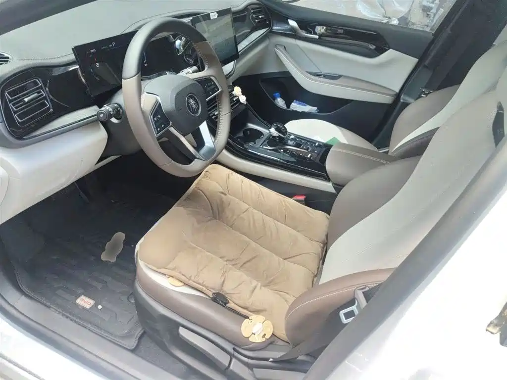 BYD Qin PLUS 2024 Glory Edition DM-i 55KM Leading фото 12