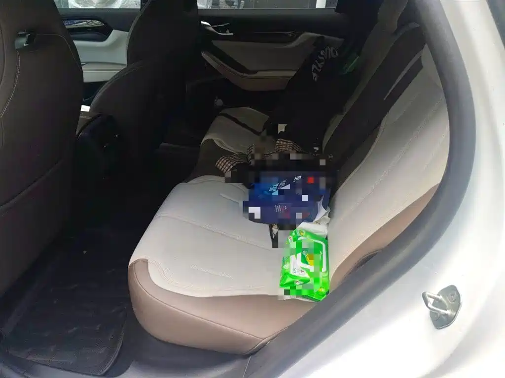 BYD Qin PLUS 2024 Glory Edition DM-i 55KM Leading фото 14