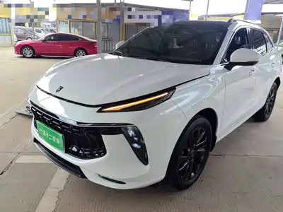 Forthing T5 EVO