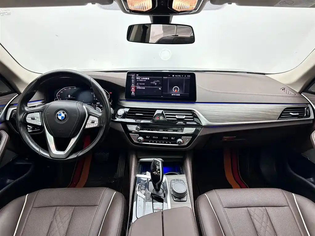 BMW 5 Series 2021 530Li Leading Luxury Package фото 10