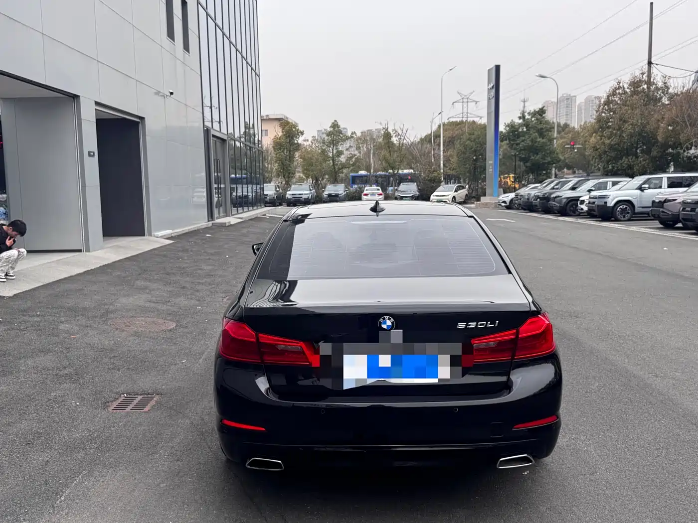 BMW 5 Series 2018 Facelift 530Li Leading Luxury Package фото 10