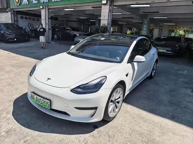 Tesla Model 3 2021
