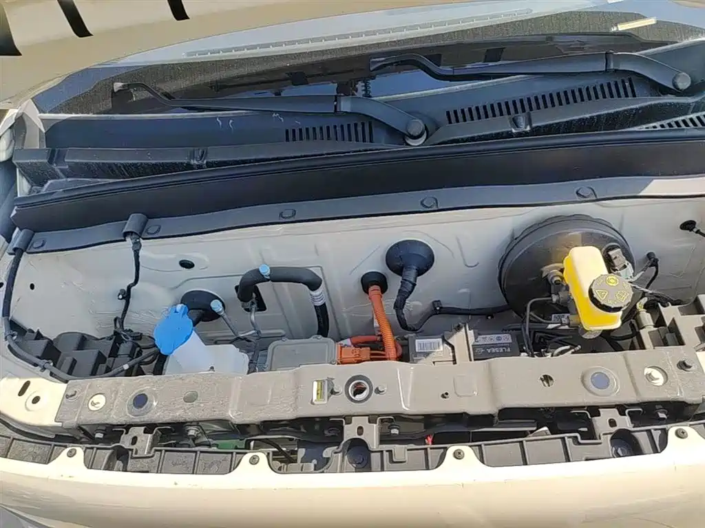 Geely Galaxy Panda 2025 Panda mini 210km Vitality Bear фото 20