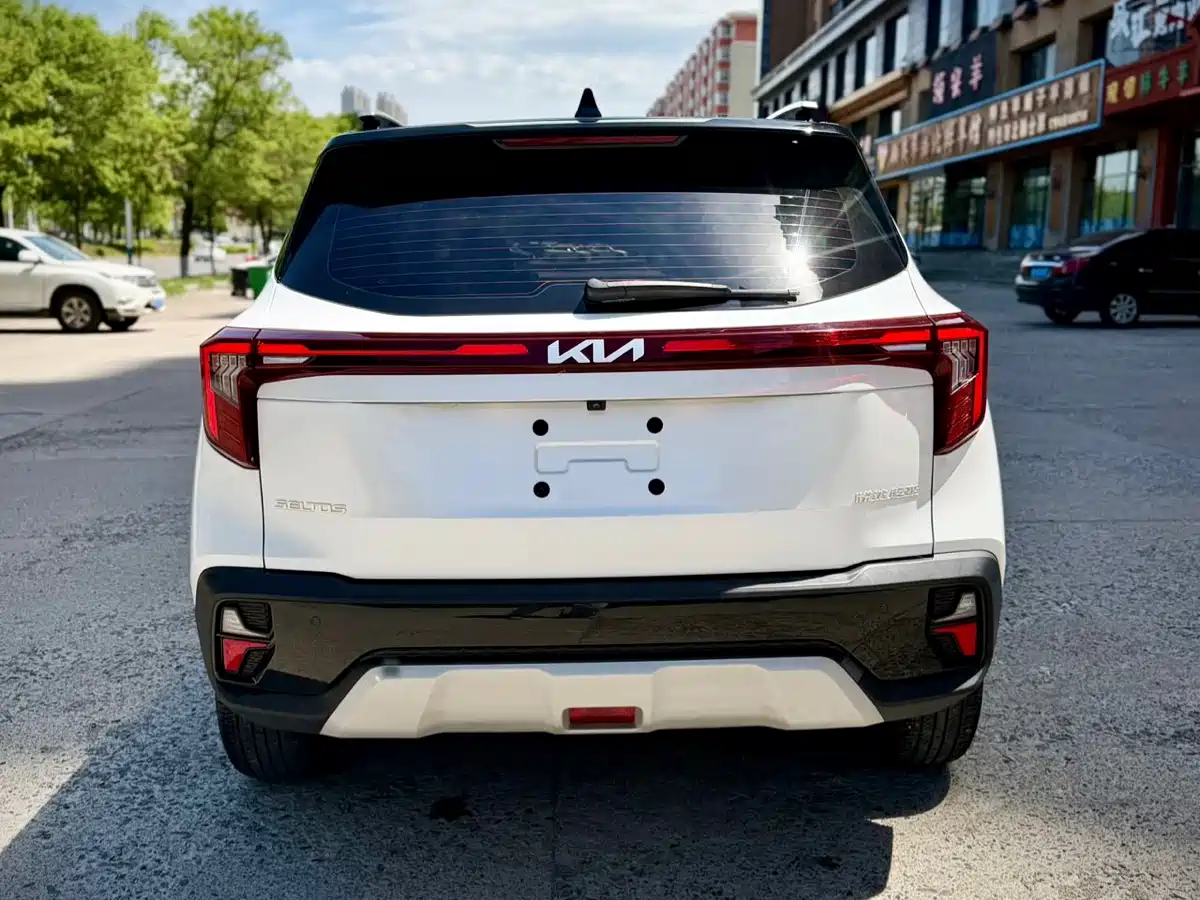 Kia Seltos 2023 1.5L CVT Luxury Edition фото 5
