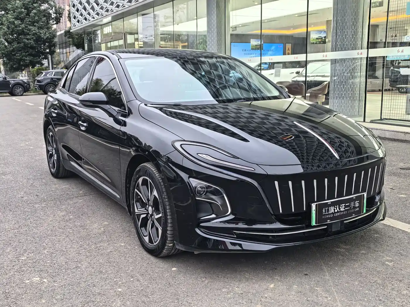 Hongqi E-QM5 2023 Facelift Basic Travel Edition фото 3