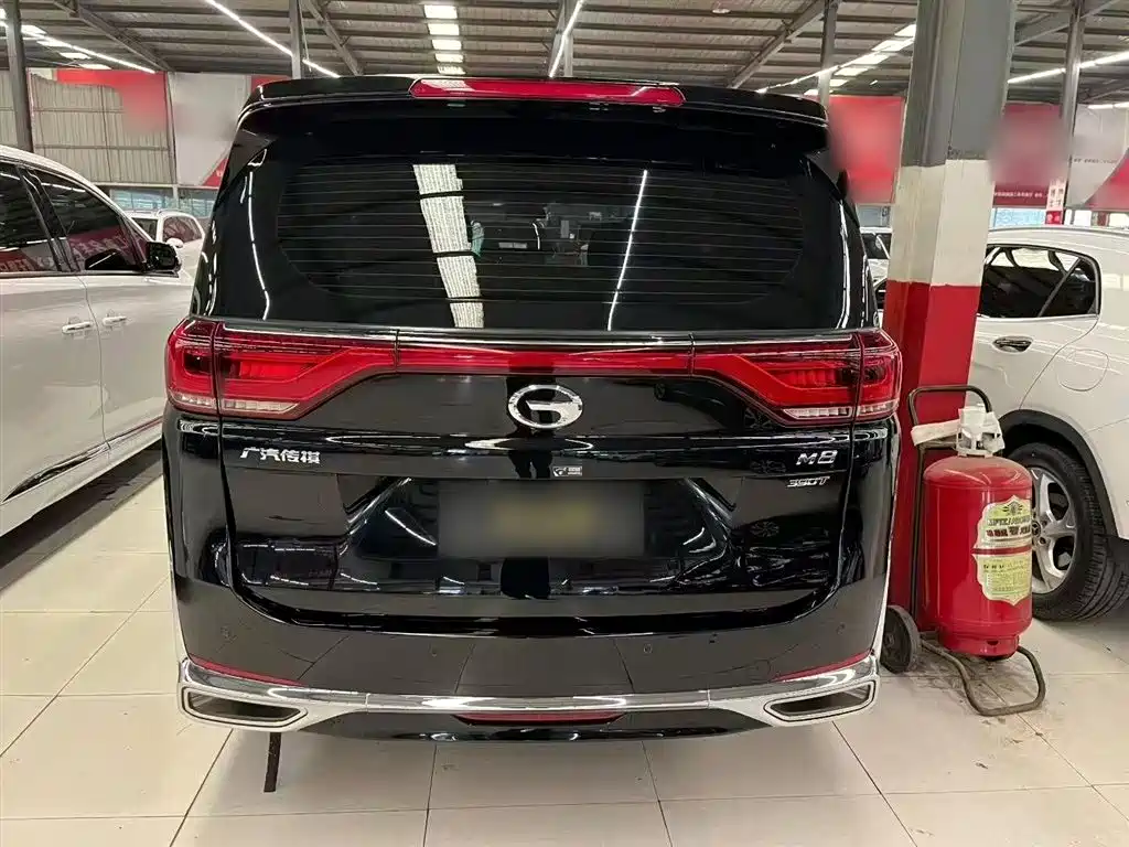 GAC Trumpchi Trumpchi M8 2023 Leading Series 390T Premium Edition фото 12