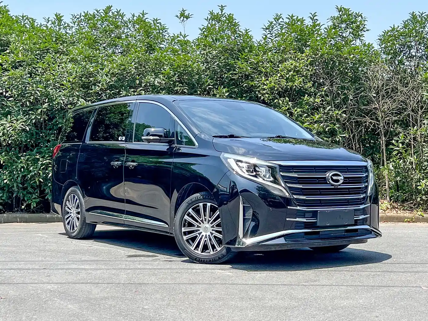 GAC Trumpchi Trumpchi M8 2023 Leading Series 390T Prestige Edition фото 3