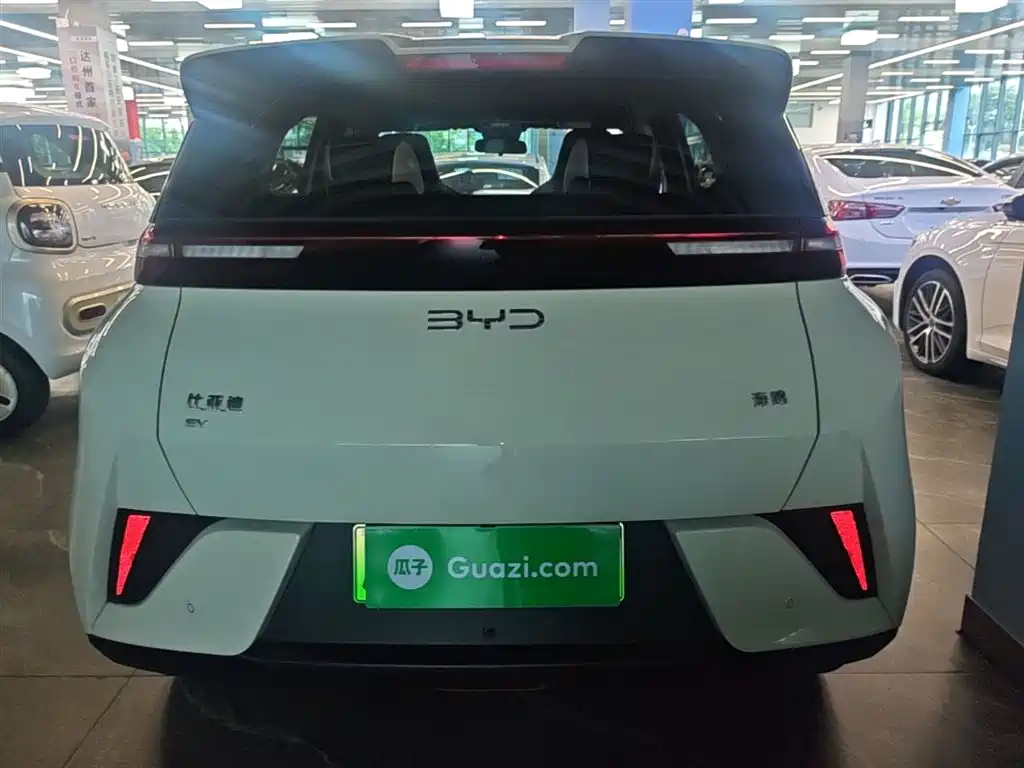 BYD Seagull 2025 Smart Drive Edition 305km Vitality Version фото 6