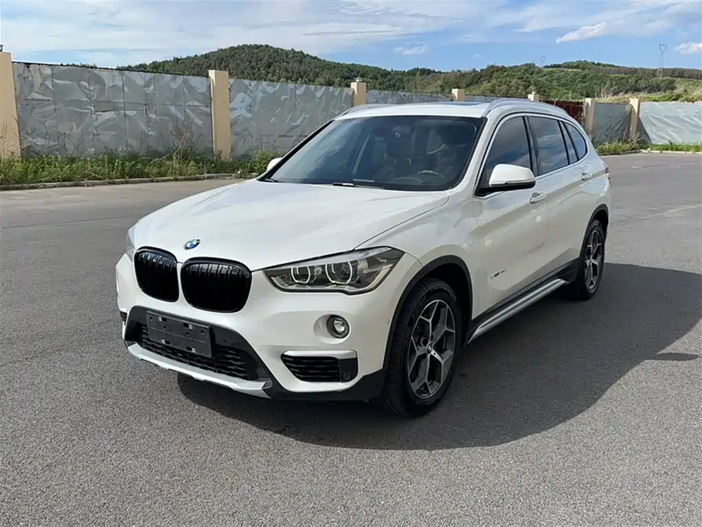 BMW X1 2016 sDrive20Li Luxury Model фото 2