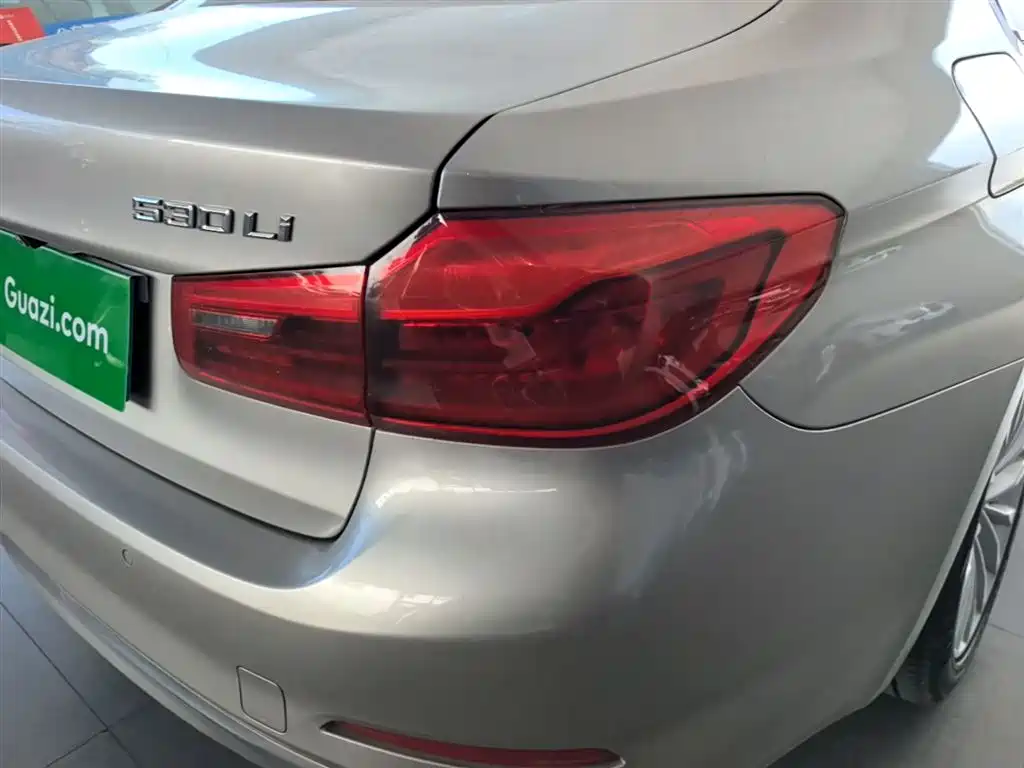 BMW 5 Series 2020 530Li Leading Luxury Package фото 8