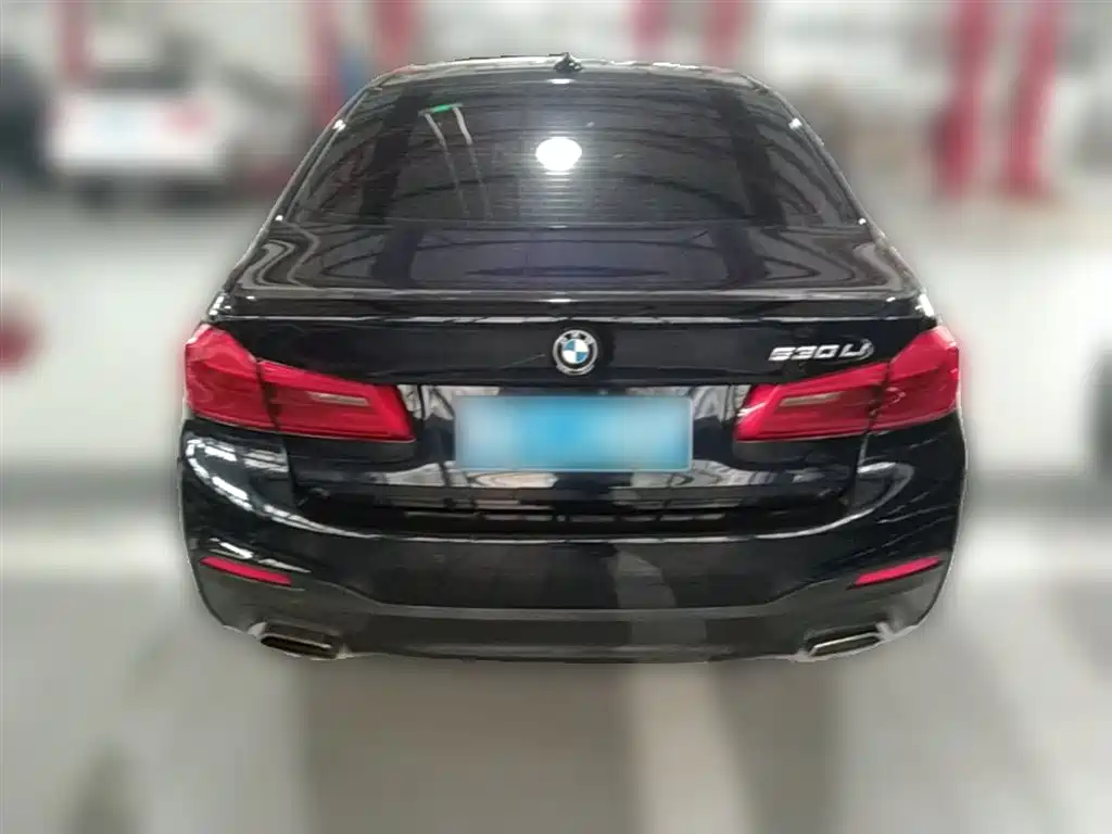BMW 5 Series 2019 530Li Leading M Sport Package фото 4