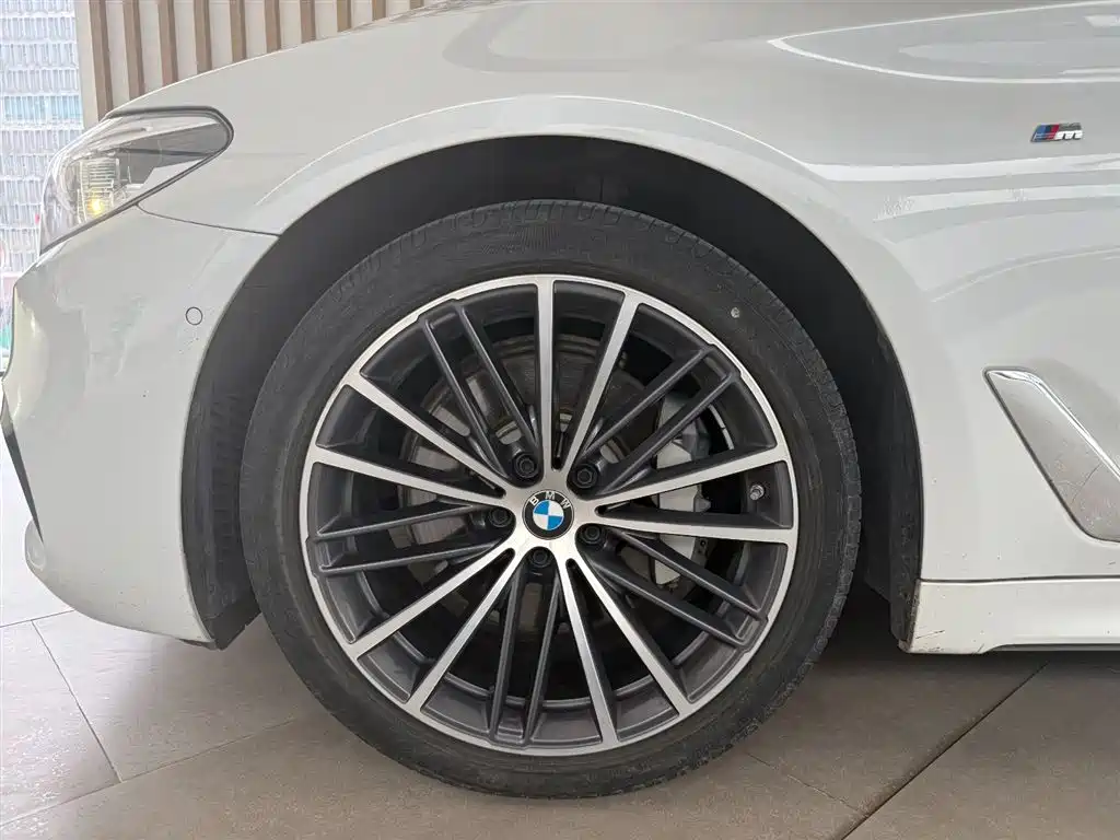 BMW 5 Series 2020 530Li Leading M Sport Package фото 5