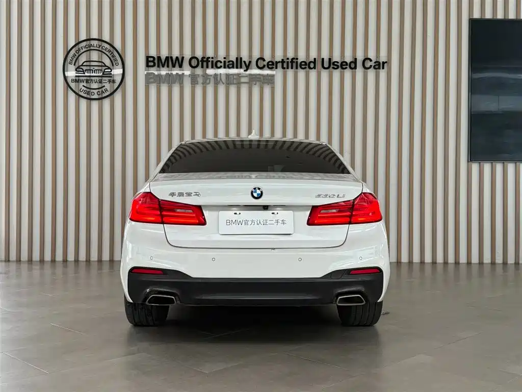 BMW 5 Series 2020 530Li Leading M Sport Package фото 12