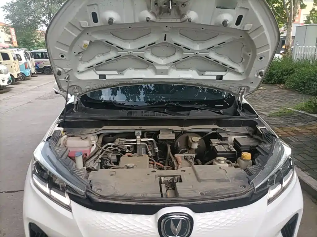 Changan New Energy E-Pro 2021 2020 Ultimate Power Edition