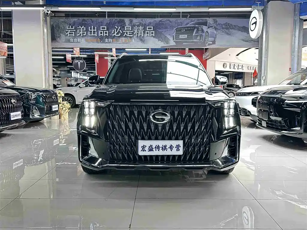 GAC Trumpchi Trumpchi GS8 2022 Dual Engine Series 2.0TM 2WD Premium Edition (6-Seater) фото 4