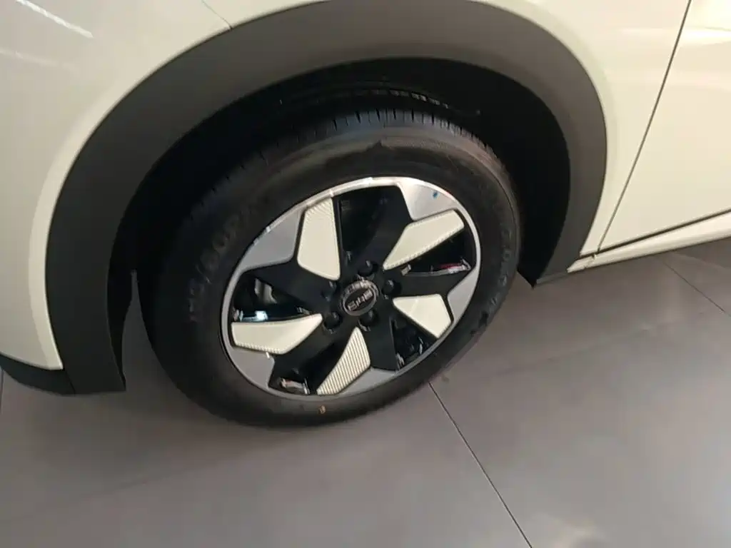 BYD Dolphin 2026 2025 420km Freedom Edition