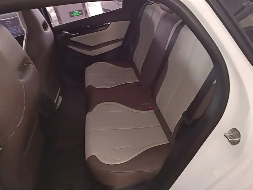 BYD Qin PLUS 2024 Glory Edition DM-i 55KM Leading фото 17