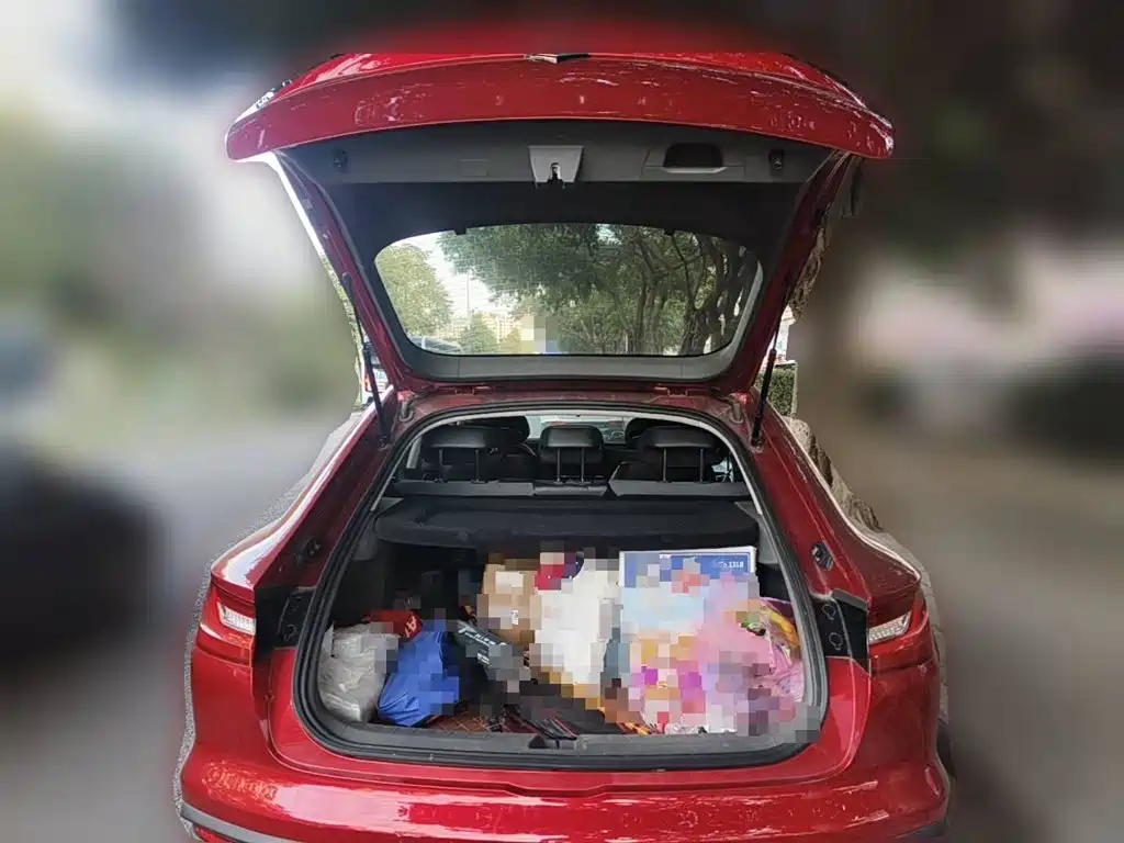Baojun RC-6 2019 2019 1.5T CVT 24-hour Online Premium