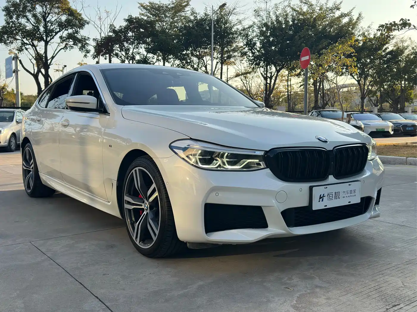 BMW 6 Series GT 2019 630i M Sport Grand Tourer Edition фото 3