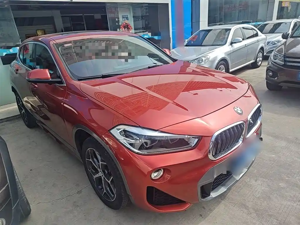 BMW X2 (Import) 2019 sDrive20i M Off-Road Package China VI фото 4
