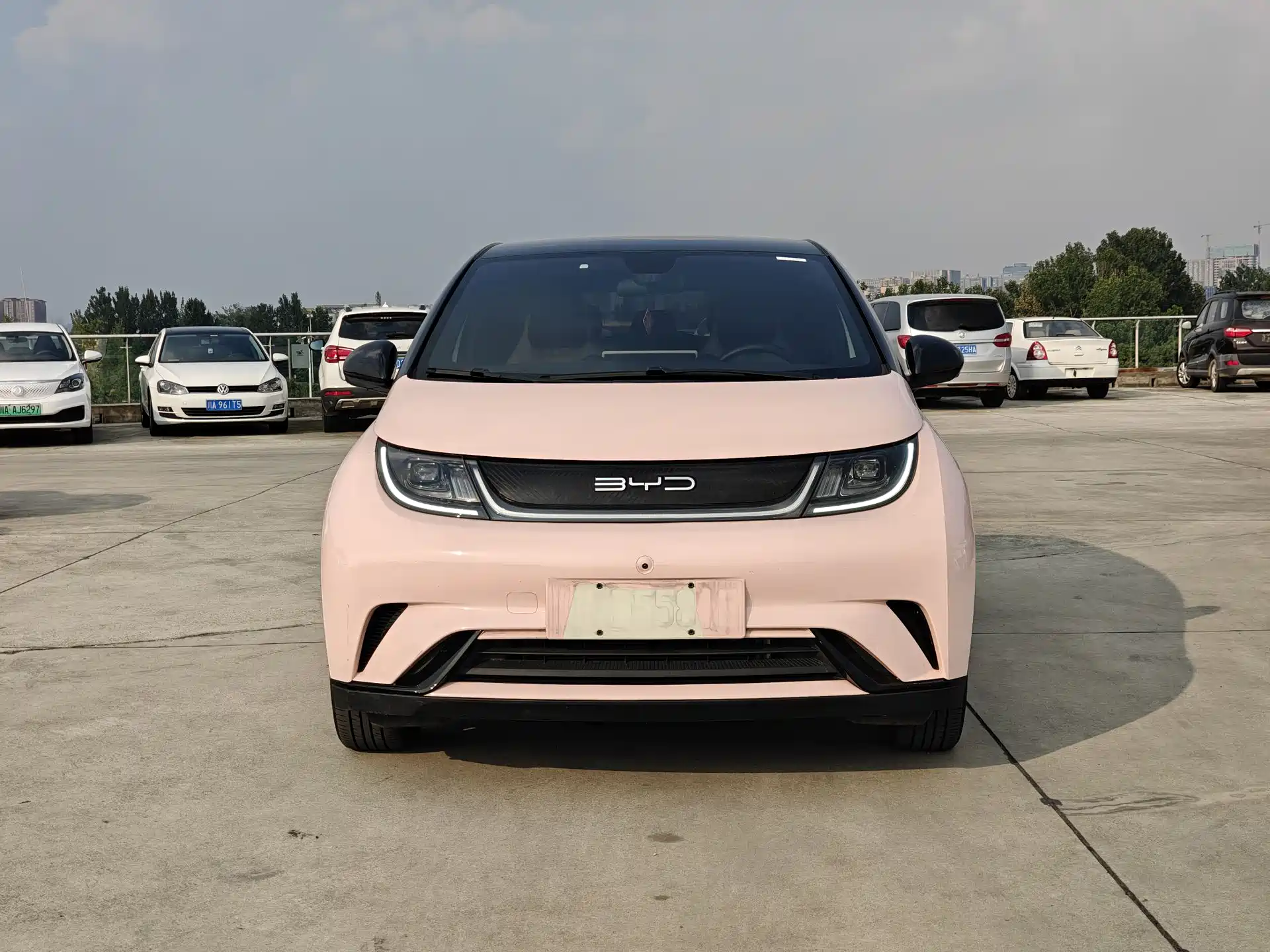 Фото 3 - BYD Dolphin